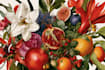 do a professional fruits botanical illustration