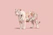 make cute animal illustration