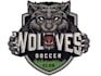 design creative modern wolf logo