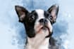 digital watercolor pet portrait art