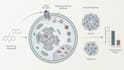 create scientific figures and graphical abstracts