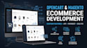 develop opencart ecommerce store with API integration, custom modules and ocmod