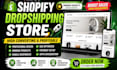 redesign dropshipping ecommerce store
