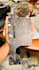 provide professional laptop  PC repair,