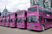 provide professional bus videos for your business