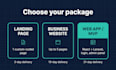 develop a custom website or saas web app in react, laravel and mysql