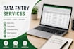 professional data entry excel and processing