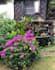 proofread and edit your gardening or horticultural content