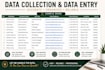 do data entry, excel, google sheets, web research, admin tasks