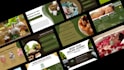 create professional presentations and pitch decks