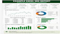 create excel mis reports for sales, inventory and business