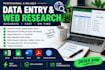 do entry, copy and paste and internet research