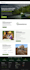 custom website for mvp business