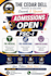design professional school social media posts and flyers