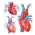 create custom medical diagram illustrations
