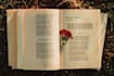 create personalized poems that touch the heart