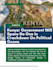 design professional canva infographics