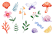 create watercolor and digital illustrations