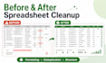 clean, organize, format and manipulate your excel data