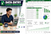 be your professional virtual assistant for excel data entry