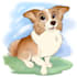 draw your pets in my cute unique style