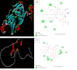perform molecular docking and bioinformatics analysis