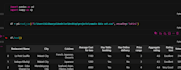clean and organize data