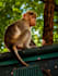 do professional video editing and image retouching
