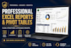 clean messy data and create professional excel analysis and dashboards