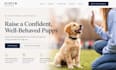 design squarespace puppy training website puppy school website dog trainig