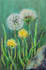 draw your favorite flowers