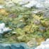 draw beautiful custom illustrated watercolour map