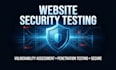 do web application security audit and penetration tasting