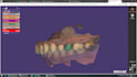 create professional dental cad designs using exocad