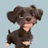 pet portrait into cute disney style