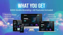 design a modern responsive wordpress website for your business