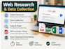 do accurate data entery and web research