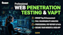 perform professional penetration testing and vulnerability assessment