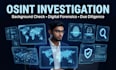 conduct a professional osint background check and investigation