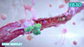 create 3d antibody binding protein interaction and moa animation