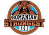 design unique bear logo