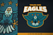 design a unique and modern eagle logo