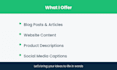 write blog articles and website content