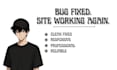 fix wordpress bugs, errors, and website issues