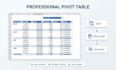 create professional excel pivot tables and charts