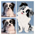 pet portrait into cute disney style