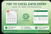 do professional excel data entry