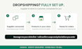 build a complete shopify store or shopify dropshipping store