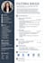 create professional CV and resume writing