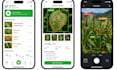integrate machine learning, genai and ai models into your mobile app